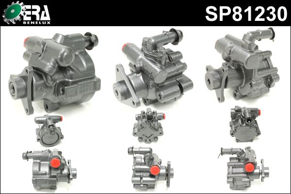 ERA BENELUX Гидравлический насос, рулевое управление SP81230